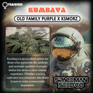 Kumbaya Feminized 7 seeds
