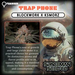 Trap Phone Feminized 7 Seeds