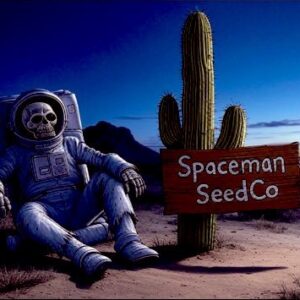 Sonoran Sour v2 (sour trails #1 x sdbx2) 15 seed pack Fem Testers