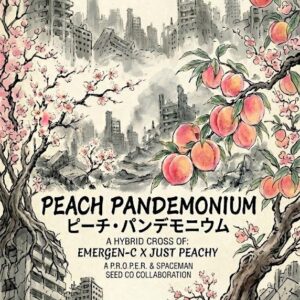 Peach Pandemonium reg seed