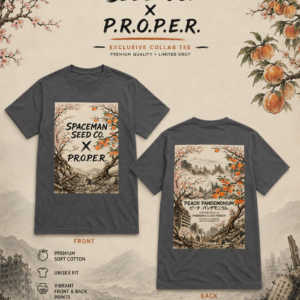 Large Peach Pandemonium t shirt Grey